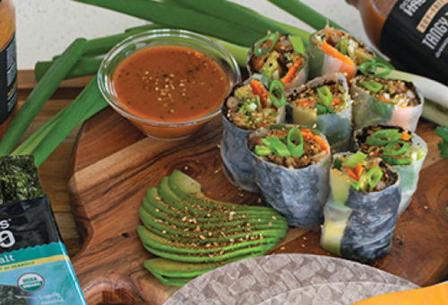 Ocean’s Halo 夏日清爽卷